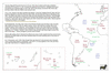 byr28 to south america_thumb.gif